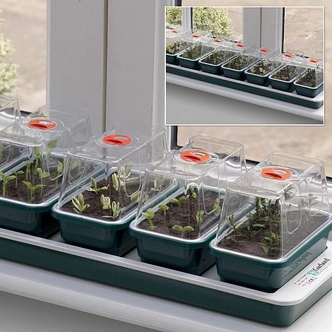 Propagator - Electric Windowsill Propagator Super 7 1 Propagator - Electric Windowsill Propagator Super 7