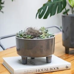 Pisa Slate Bowl H14Cm D19Cm -Bloom Haven Herbaceous Perennials Deals Store PSB19 2