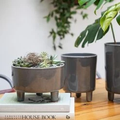 Pisa Slate Bowl H14Cm D19Cm -Bloom Haven Herbaceous Perennials Deals Store PSB19 3