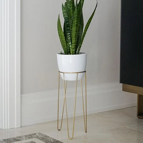 Pianta Stand In Gold H35Cm D19Cm 2 Pianta Stand In Gold H35Cm D19Cm - Image 2