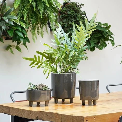 Pisa Slate Planter H19Cm D16Cm 1 Pisa Slate Planter H19Cm D16Cm