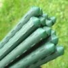 Plant Stake & Tomato Support Garden Canes - 0.75m / 29.5" Long