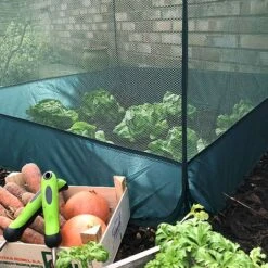 Pop Up Fruit And Vegetable Cage Grow-House (0.65m High) 7 Pop Up Fruit And Vegetable Cage Grow-House (0.65m High) -Bloom Haven Herbaceous Perennials Deals Store Pop20Up20Net20Cage200.65201000x100020967kb