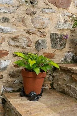 Antique Bronze Coloured Snail Potty Feet - Plant Pot Feet 7 Antique Bronze Coloured Snail Potty Feet - Plant Pot Feet -Bloom Haven Herbaceous Perennials Deals Store SNAIL20 20OUTDOOR20POT20 20PF0029