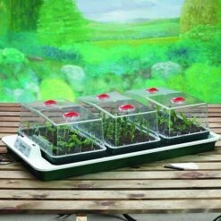 Big 3 Electric Propagator
