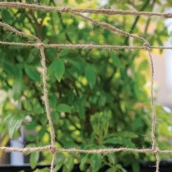 Biodegradable Netting 2 X 5m