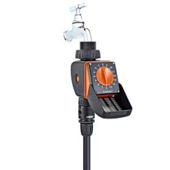 Featured Products -Bloom Haven Herbaceous Perennials Deals Store SUTIM33488