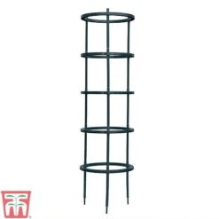 Tomato Growing Support -Bloom Haven Herbaceous Perennials Deals Store TOMA TKA6818P A