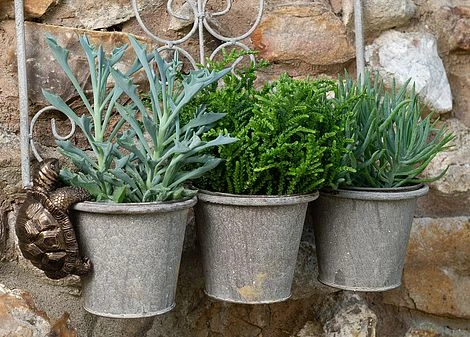 Antique Bronze Coloured Tortoise Pot Buddy - Pot Hanger 4 Antique Bronze Coloured Tortoise Pot Buddy - Pot Hanger - Image 4