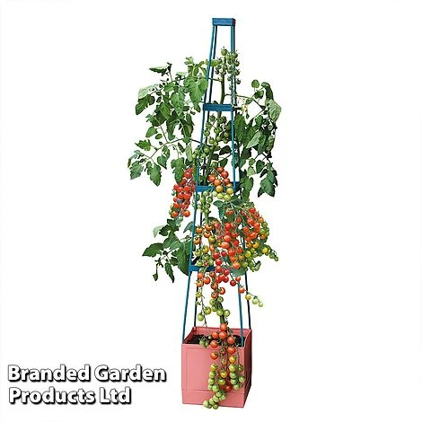 Garden Grow Self Watering Tomato Tower 4 Garden Grow Self Watering Tomato Tower - Image 4