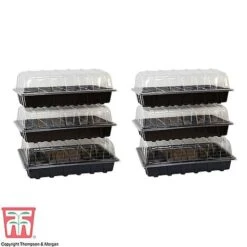 Garden Grow Plug And Seed Growing Tray -Bloom Haven Herbaceous Perennials Deals Store TRAY 40PROP2X3 T380001