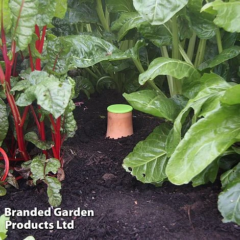 Hydro-Max Self-Regulating Watering System 2 Hydro-Max Self-Regulating Watering System - Image 2