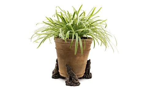 Antique Bronze Coloured Wolf Potty Feet - Plant Pot Feet 3 Antique Bronze Coloured Wolf Potty Feet - Plant Pot Feet - Image 3