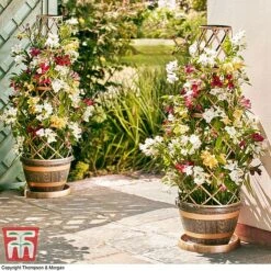 Wooden Barrel Effect Tower Pot -Bloom Haven Herbaceous Perennials Deals Store WOOD KB0330 G