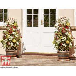 Wooden Barrel Effect Tower Pot -Bloom Haven Herbaceous Perennials Deals Store WOOD KB0330 I