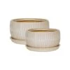 White Round Bonsai Planter Set Of 2
