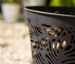 Idooka Fire Bowls 27 Idooka Fire Bowls -Bloom Haven Herbaceous Perennials Deals Store Zoom