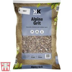 Decorative Alpine Grit Aggregate -Bloom Haven Herbaceous Perennials Deals Store apli gri a