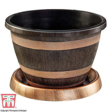 Wooden Barrel Effect Pot & Saucer 2 Wooden Barrel Effect Pot & Saucer - Image 2