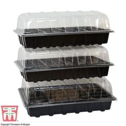 Garden Grow Plug And Seed Growing Tray -Bloom Haven Herbaceous Perennials Deals Store domed