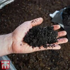 Ericaceous Compost 8 Ericaceous Compost -Bloom Haven Herbaceous Perennials Deals Store era