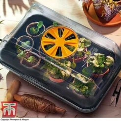 Garden Gear Heated Propagator -Bloom Haven Herbaceous Perennials Deals Store heat prop3