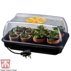 Garden Gear Heated Propagator -Bloom Haven Herbaceous Perennials Deals Store heat prop5