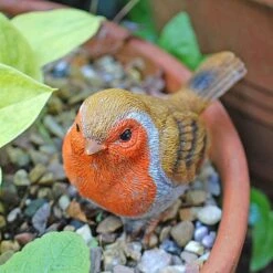 3 Pot Topping Robin Bird Garden Ornaments -Bloom Haven Herbaceous Perennials Deals Store il 1140xN.2350364235 pirr