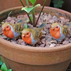 3 Pot Topping Robin Bird Garden Ornaments -Bloom Haven Herbaceous Perennials Deals Store il 1140xN.2350364267 h6q9