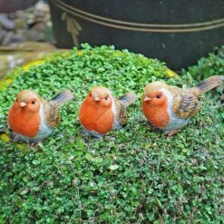 3 Pot Topping Robin Bird Garden Ornaments -Bloom Haven Herbaceous Perennials Deals Store il 1140xN.2350364383 5lpz