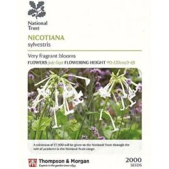 Seed Collection Tin + 10 Packets Of National Trust Seeds 8 Seed Collection Tin + 10 Packets Of National Trust Seeds -Bloom Haven Herbaceous Perennials Deals Store nico sylv P1