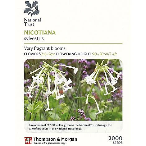 Seed Collection Tin + 10 Packets Of National Trust Seeds 4 Seed Collection Tin + 10 Packets Of National Trust Seeds - Image 4