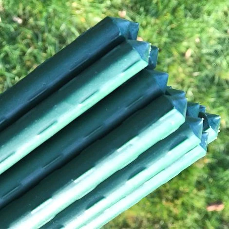 Plant Stake & Tomato Support Garden Canes - 1.2m / 47" Long 4 Plant Stake & Tomato Support Garden Canes - 1.2m / 47" Long - Image 4