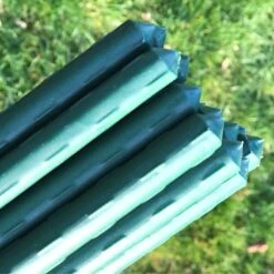 Plant Stake & Tomato Support Garden Canes - 0.75m / 29.5" Long -Bloom Haven Herbaceous Perennials Deals Store plant20stakes202000x2000204219kb3