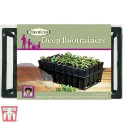 Deep Root Trainers 7 Deep Root Trainers -Bloom Haven Herbaceous Perennials Deals Store root3