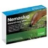 Slug Nematodes Treat Nemaslug 100 Sqm