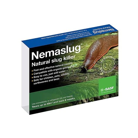 Slug Nematodes Treat Nemaslug 40 Sqm 1 Slug Nematodes Treat Nemaslug 40 Sqm