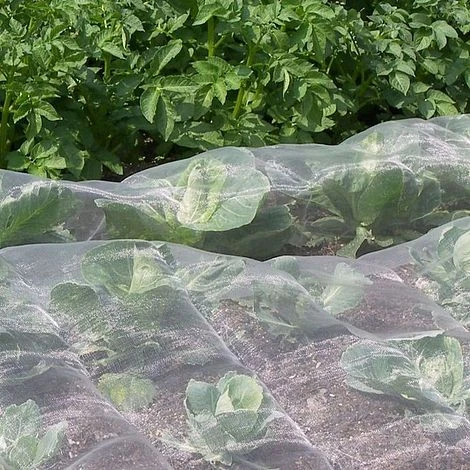 Veggiemesh Insect Mesh Netting For Vegetables 1 Veggiemesh Insect Mesh Netting For Vegetables