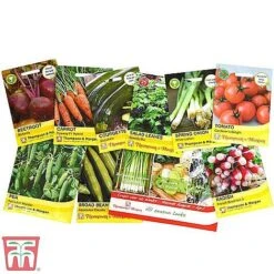 Seed Collection Tin - Gift 10 Seed Collection Tin - Gift -Bloom Haven Herbaceous Perennials Deals Store vegseed2