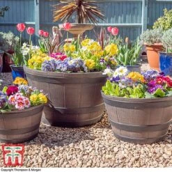 Wooden Barrel Effect Planter – Medium -Bloom Haven Herbaceous Perennials Deals Store wood bar1