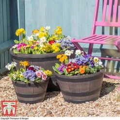 Wooden Barrel Effect Planter – Medium -Bloom Haven Herbaceous Perennials Deals Store wood bar3