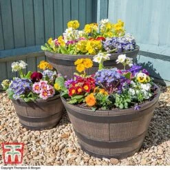 Wooden Barrel Effect Planter – Large -Bloom Haven Herbaceous Perennials Deals Store wood bar41