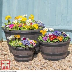 Wooden Barrel Effect Planter – Small 10 Wooden Barrel Effect Planter – Small -Bloom Haven Herbaceous Perennials Deals Store wood bar5