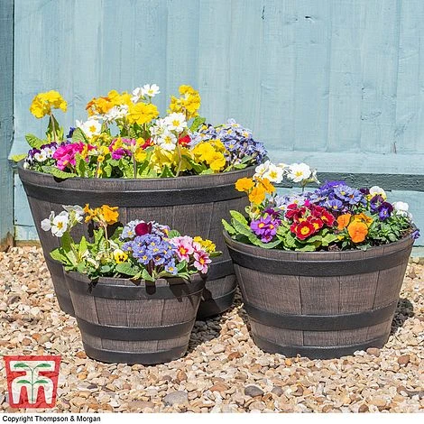 Wooden Barrel Effect Planter – Small 5 Wooden Barrel Effect Planter – Small - Image 5
