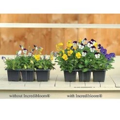 Incredibloom® And Incredicrop® Duo 6 Incredibloom® And Incredicrop® Duo -Bloom Haven Herbaceous Perennials Deals Store z INCR T47963 C h