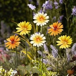 Garden Gear Metal Daisy Stake Set Of Six -Bloom Haven Herbaceous Perennials Deals Store z WEBG45161